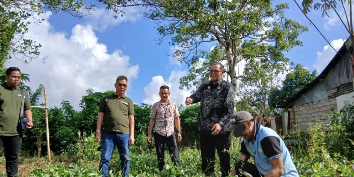 Didampingi Kalapas Y. Paath, Kadiv Pemasyarakatan Kanwil kemenkumham Sulut Ikut Panen Ubi Jalar di Lapas Tondano 2 1000459368