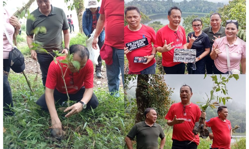 GridArt 20241102 084833355