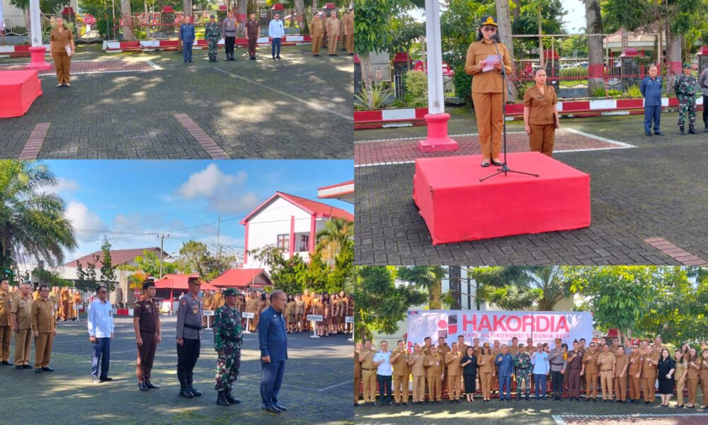 FotoGrid 20241210 092519354