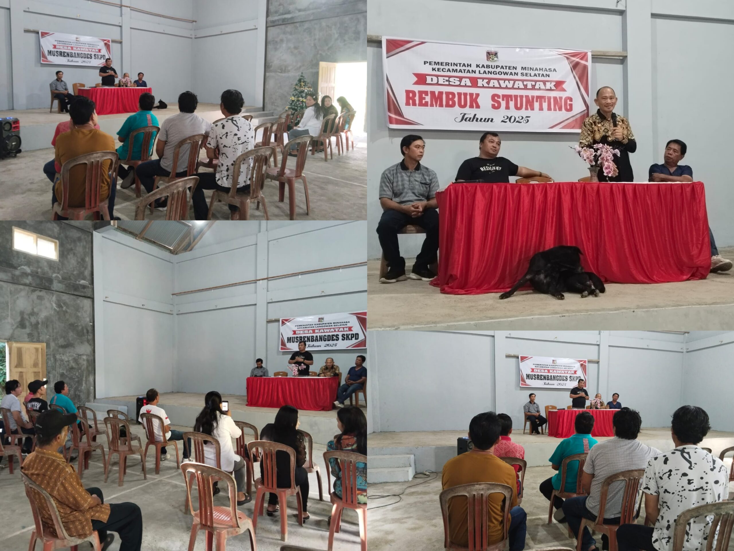 FotoGrid 20250130 125832470 scaled