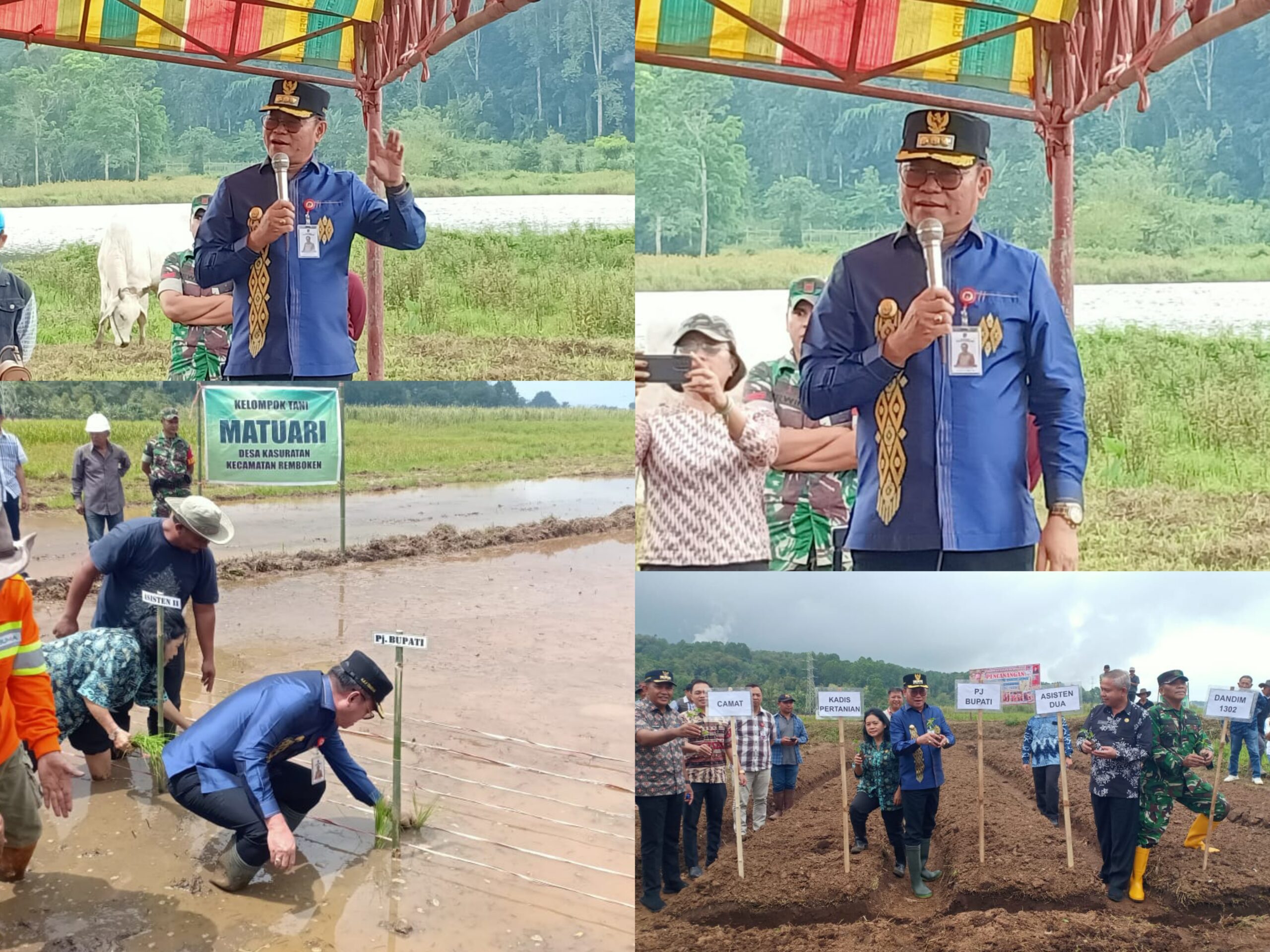 FotoGrid 20250130 160017704 scaled