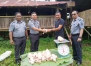Hebat…,LP Tondano Sukses Panen Ayam Daging, Dorong Kemandirian WBP dan Ketahanan Pangan