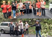 BPBD Pangkas Ranting Pohon Jalan Tondano – RemboMaringka, Bupati Dondokambey Tinjau Dan Beri Semangat