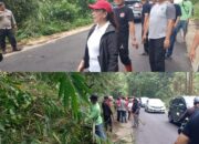 Demi Keamanan Masyarakat, Wabup Vasung Pantau Penebangan Pohon Ruas Jalan Raya Tondano-Remboken