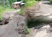 Sempit, Rusak Dan Berlubang, Jalan Penghubung Desa Picuan Lama – Wanga, Minta Perhatian Pemkab Minahasa Selatan