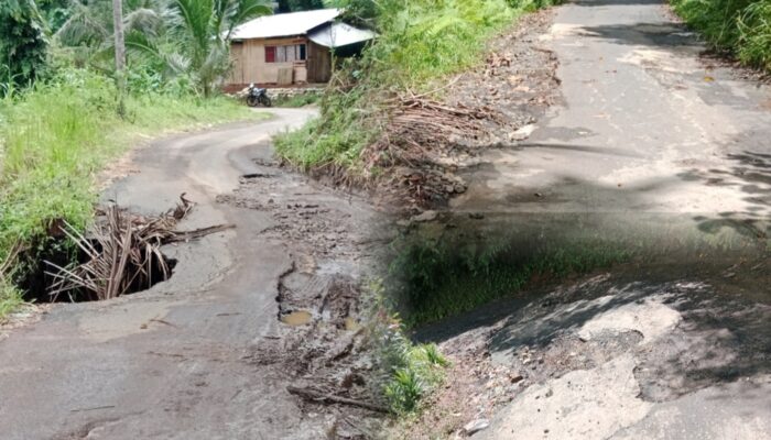 Sempit, Rusak Dan Berlubang, Jalan Penghubung Desa Picuan Lama – Wanga, Minta Perhatian Pemkab Minahasa Selatan
