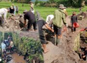 Hebat, Pemdes Walewangko Lanjutkan Pembangunan Infrastruktur di Desa