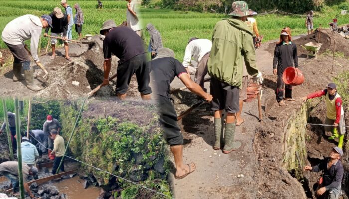 Hebat, Pemdes Walewangko Lanjutkan Pembangunan Infrastruktur di Desa