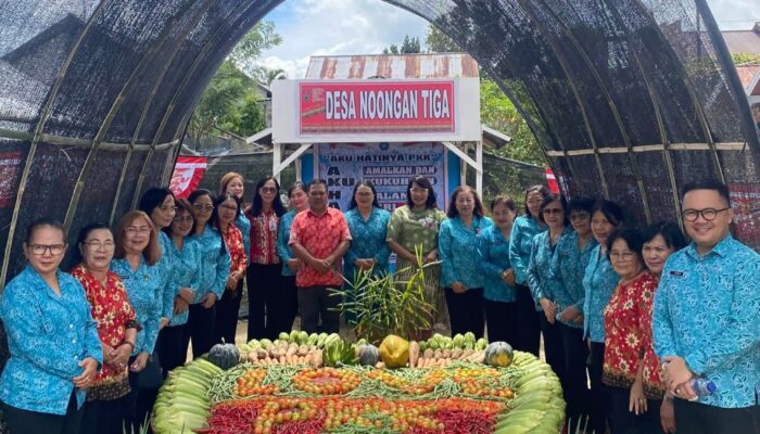 Desa Noongan 3 Wakili Kecamatan Langowan Barat Di Lomba Hatinya PKK Tingkat Kabupaten Minahasa