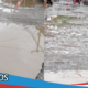Viral Jalan Pasar Tompaso Baru Tergenang Seperti Kolam, Warga Minta Perhatian Pemerintah Bangun Infrastruktur