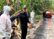 Cuaca Ekstrem Picu Longsor, Bupati FDW Tinjau Lokasi dan Instruksikan Penanganan Cepat