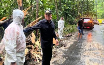 Cuaca Ekstrem Picu Longsor, Bupati FDW Tinjau Lokasi dan Instruksikan Penanganan Cepat