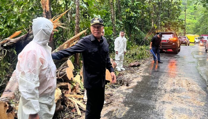 Cuaca Ekstrem Picu Longsor, Bupati FDW Tinjau Lokasi dan Instruksikan Penanganan Cepat