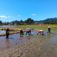 IMG 20260717 WA0050