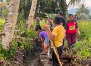 Pemdes Tumani Utara Bergerak Cepat Bersihkan Drainase, Antisipasi Genangan di Musim Penghujan 10 IMG 20260717 WA0061